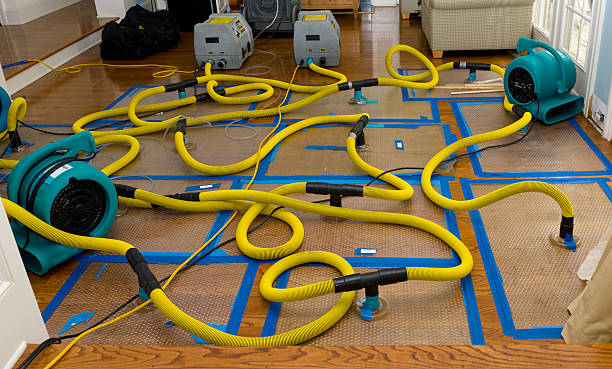 Professional Sewage Cleanup technician working in Leander, TX